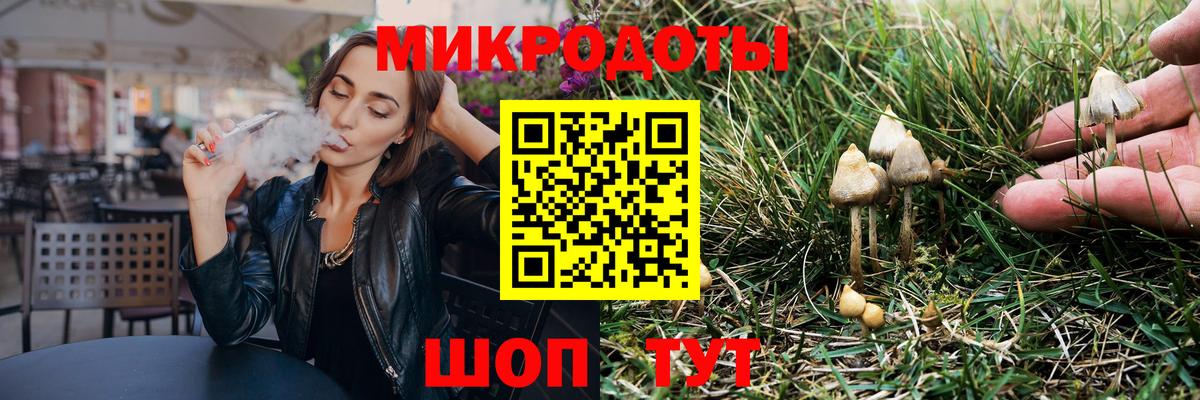 Галлюциногенные грибы Psilocybe Острогожск