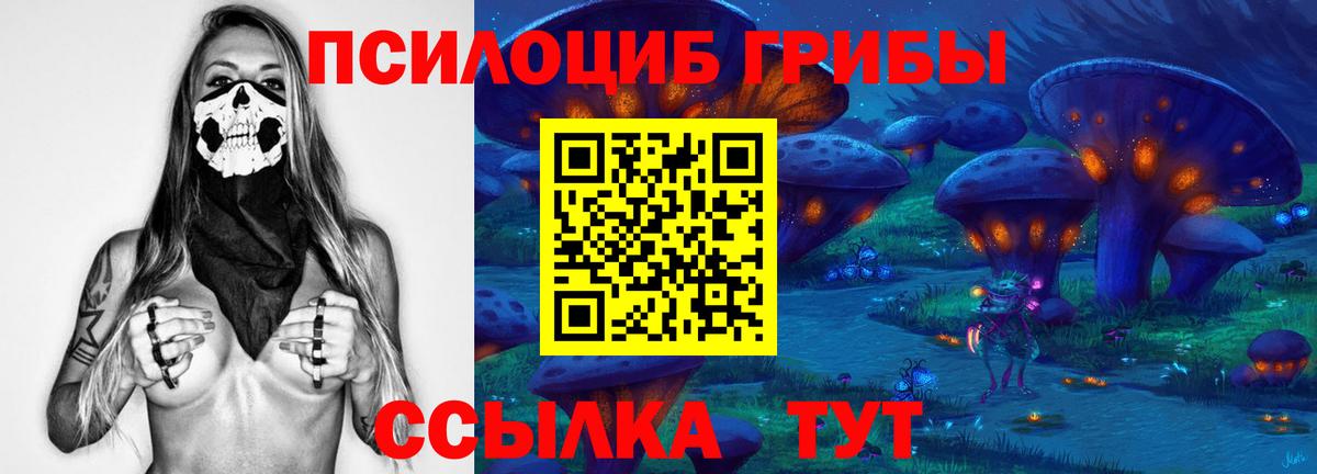 Острогожск  Галлюциногенные грибы ЛСД  Галлюциногенные грибы ЛСД  Вход с VPN 